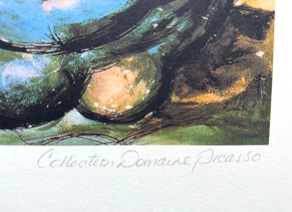 Подписанный ограниченный выпуск Пабло Пикассо лежащая обнаженная на пляже - Изображение 2 из 4