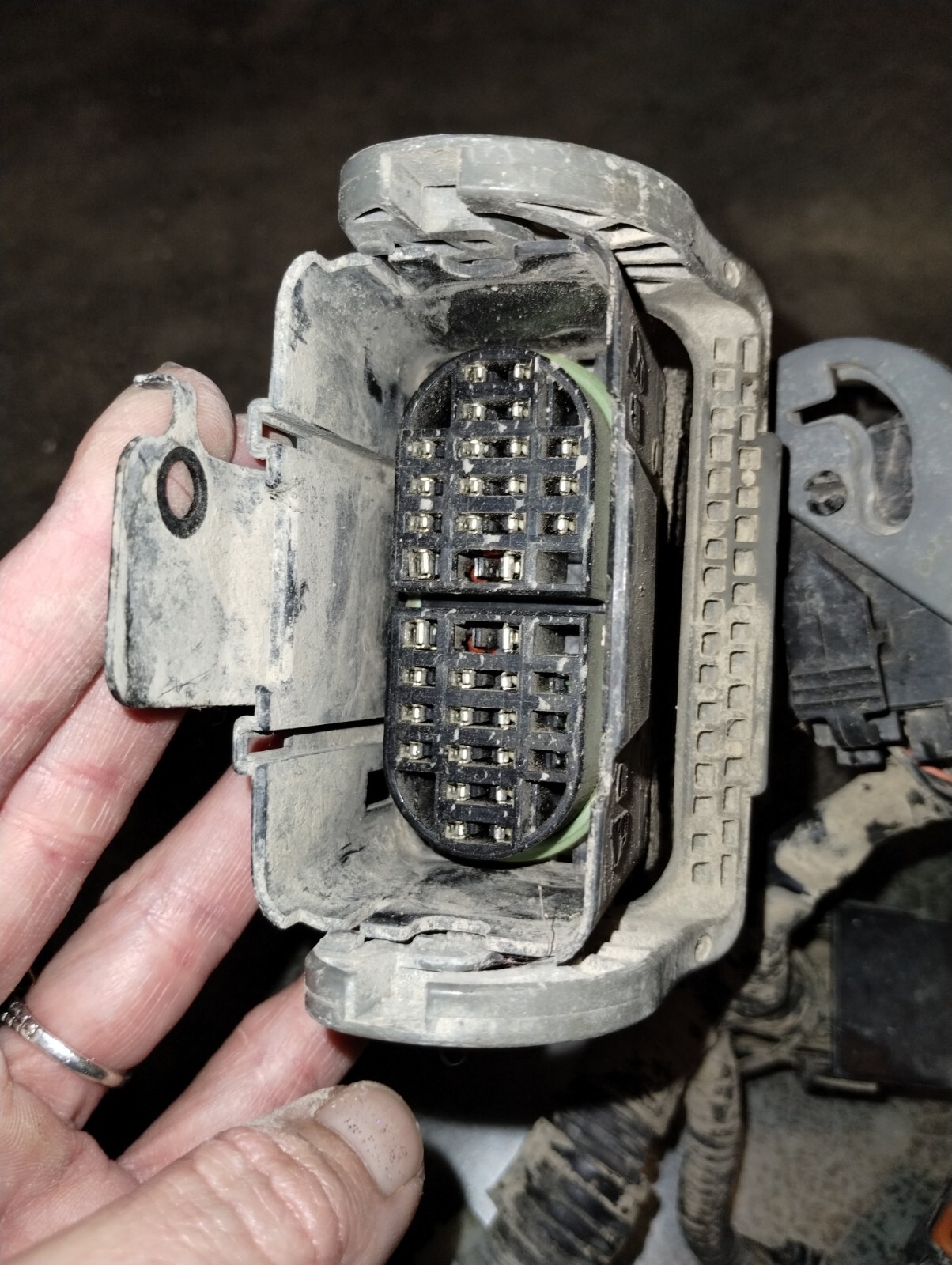 20012002 Chevrolet GMC Duramax LB7 Engine Injector Wire Harness OEM eBay