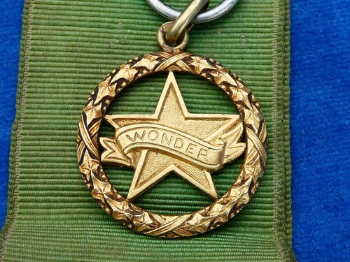 JOLIE NICE TOP ! MEDAILLE Medal - SNCF MEDAILLE DES CHEMINOTS EUR 9,90