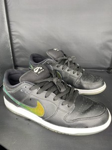 nike sb dunk 10.5