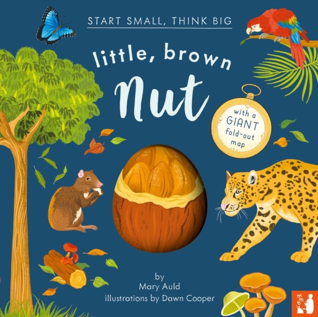 Little Brown Nut
