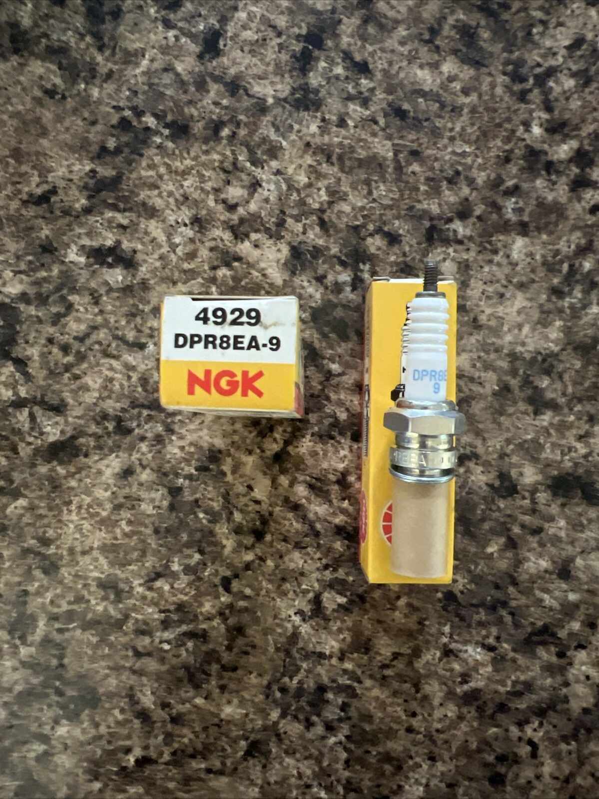 Spark Plug DPR8EA-9 NGK 4929