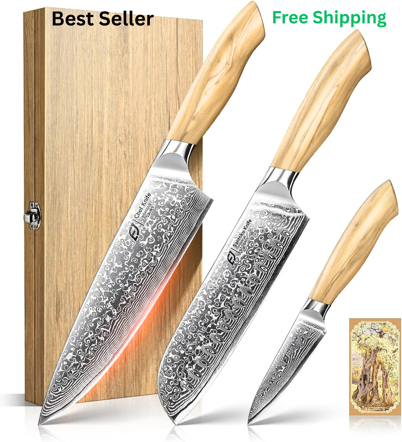 Damascus Kitchen Knife Set, 3 PCS Japanese Chef Knife Set, 67-Layers Damascus...