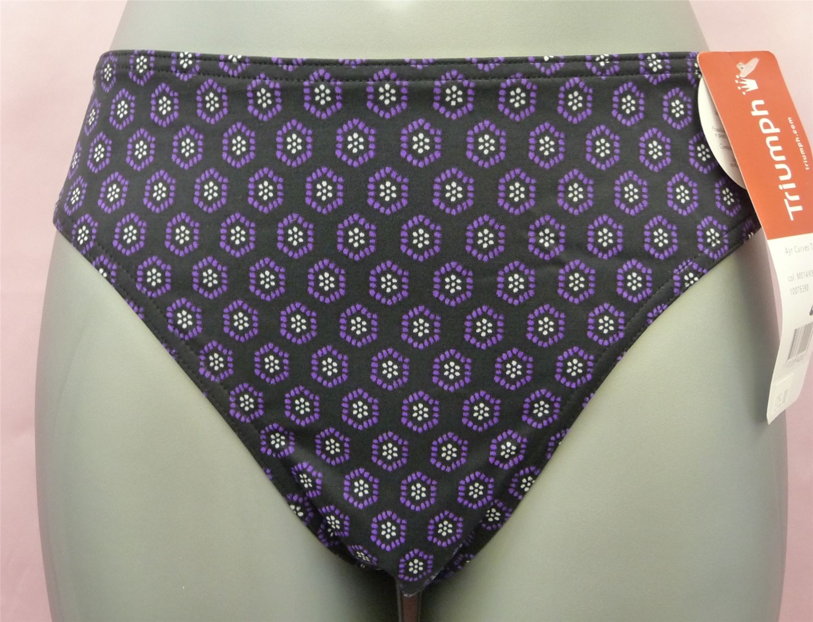 Triumph 4 Your Curves Tai High Leg Bikini BottomsPurple (m014) 18