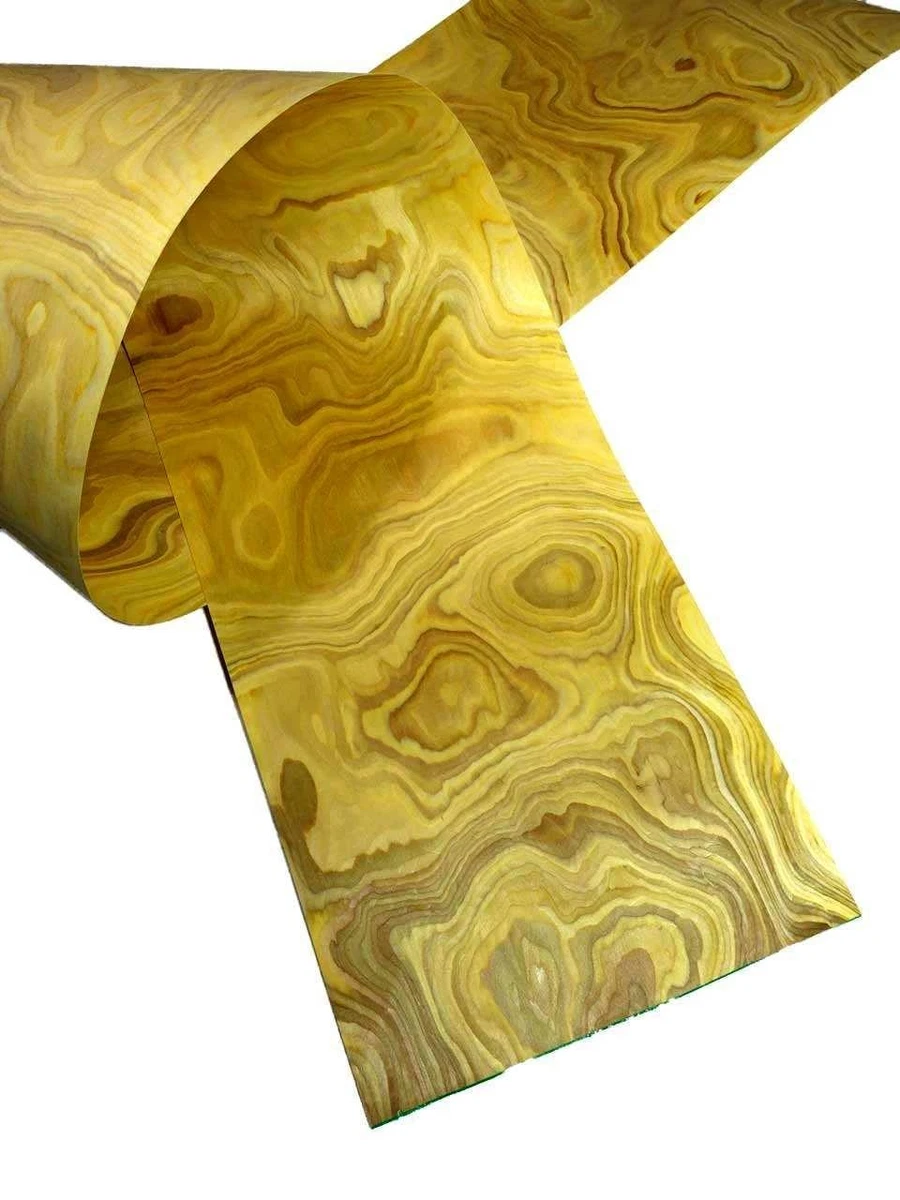 Chapa de madera de raíz de oliva Maser SaRaiFo 250x32cm 1 hoja