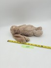 Picture 8 of 8