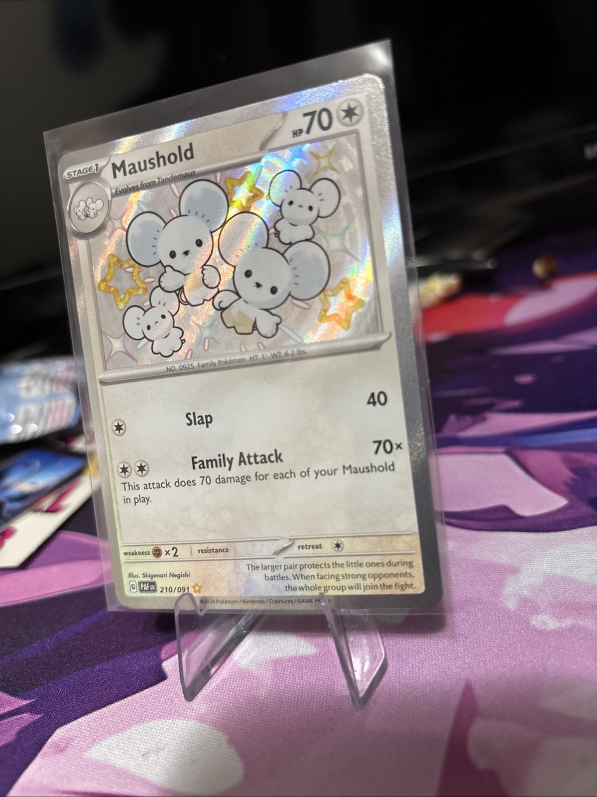 Pokémon TCG Maushold 210/091 Paldean Fates Holo Shiny Rare NM