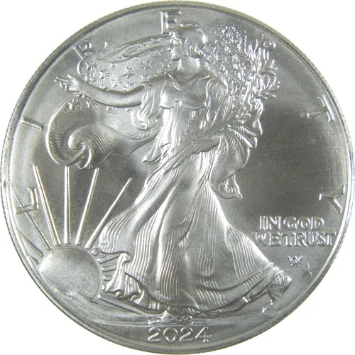2024 (P) Star Privy Mark American Silver Eagle Uncirculated Coin