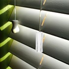 Bild 6 von 12