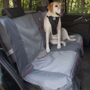 dog bench seat