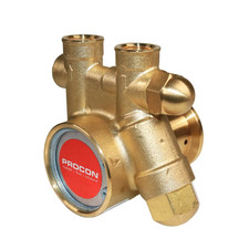 PROCON 111A100F11BC - 3/8" NPT Brass Rotary Vane Pump Series 1