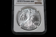 American Eagle MS 69 Graded 2019 Silver Bullion Coins for sale | eBay