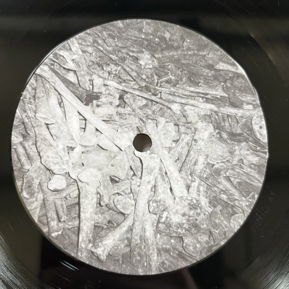 Nomex –Infiltrate Assimilate Propagate Disseminate-UK Adverse LP-ADVERSE 9 NM169 - Image 3 of 4