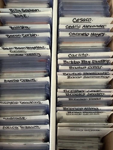 Wrestling Cards Assorted Lot (100) Cards WWF, WCW, WWE 90s, 2000s