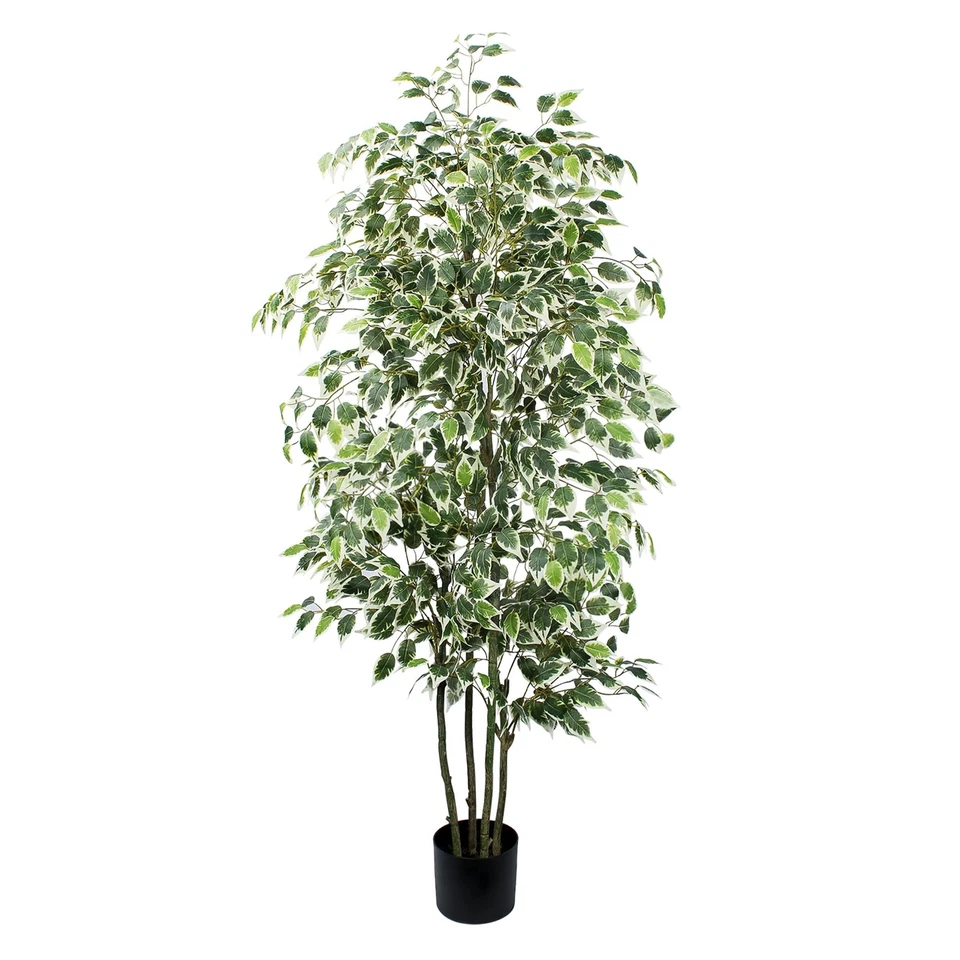 Árbol de ficus artificial de 6 pies 600 hojas plantas de imitación interior alto con maceta negra... Foto 2 de 4