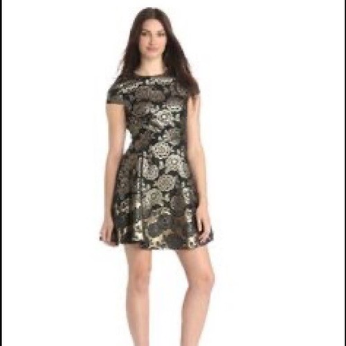 Cynthia Steffe Black \u0026 Gold Floral 