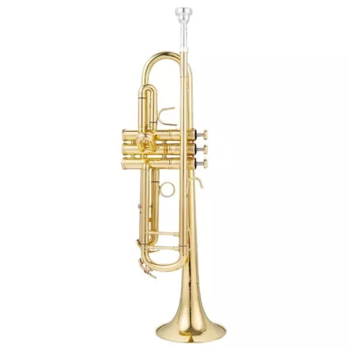 Tromba Yamaha YTR-2335/4335/8335GS con custodia rigida bellissima - Foto 29 di 35