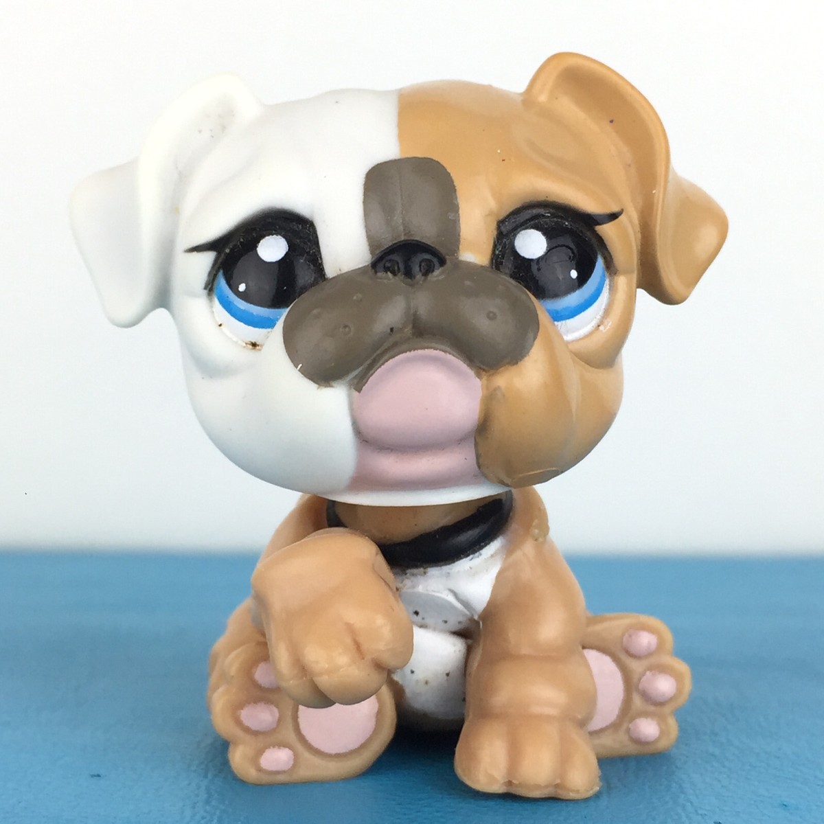 リトル ペットショップ プードル？ Littlest Pet Shop/リトレストペットショップ/リトルペット