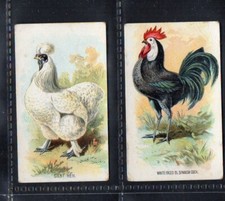Chicken poultry cockerel Cigarette cards BAT N.Z. Catalogue value &pound; 18.oo #051