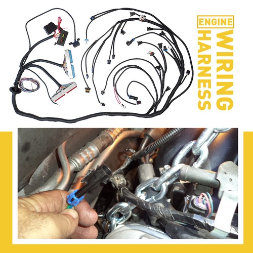 Standalone Harness For Manual T56 Tran 4.8/5.3/6.0l Ls Swap Engine Ls1 97-06 Dbc - Picture 10 of 12