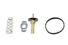 Thermostat Smart FORTWO