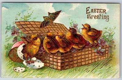 Easter~Hatching Chick Chirps w/4 Chicks In Basket At Butterfly~Gold Emboss~ASB