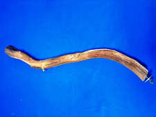 Bird Parrot Cage Large Perch Manzanita Wood Branch 24" Length 1" - 1.5" Diam.