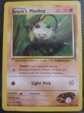 Image for Brock's Mankey