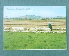 Bethlehem Shepherds Field Jerusalem Holy City Israel Posted Chrome Postcard VTG