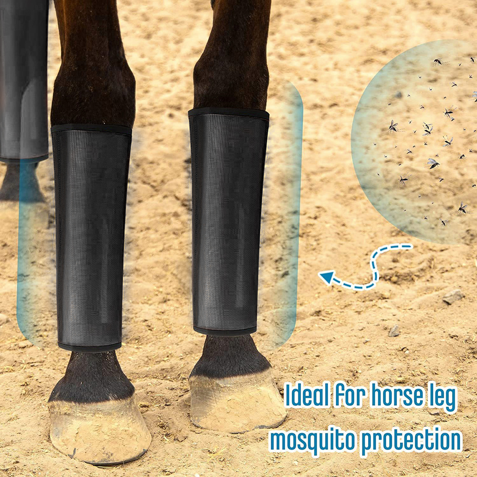 Imagen 5 de 17