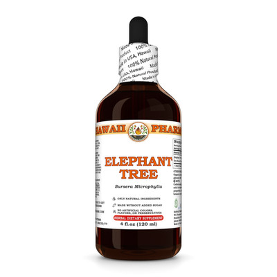 Elephant Tree (Bursera Microphylla) Dried Resin Chunk Liquid Herbal Extract