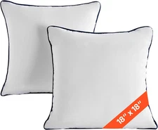 18 X 18 in Throw Pillow Inserts, Set of 2, Firm and Fluffy Decorative down Alten