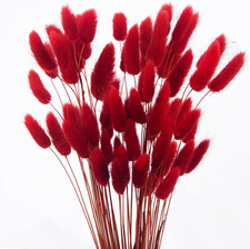 60pcs Dried Bunny Tails Flowers Red Pampas Grass Natural Dried Floral Arrangemen