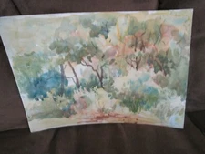 Original Watercolor By Peg Humphreys, Vegetation 12"x 8.5"