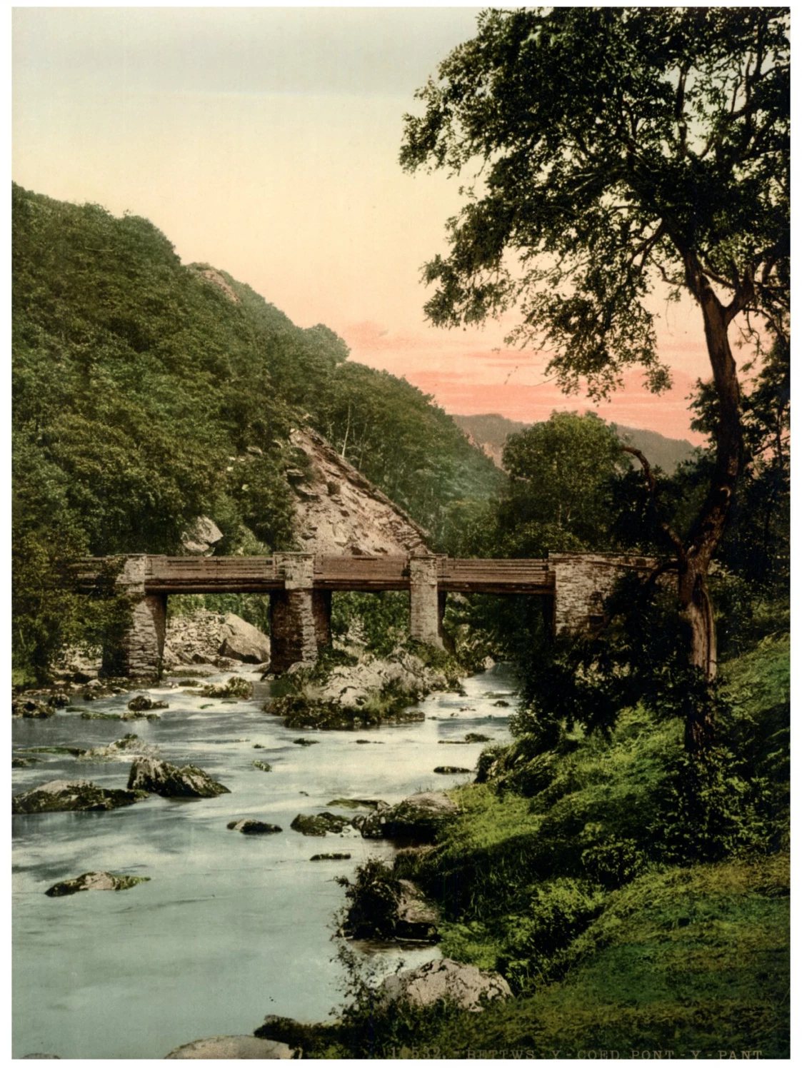 Photo 1/1