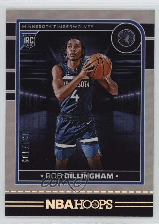 2024-25 Panini NBA Hoops Rookies Silver /199 Rob Dillingham #238 Rookie RC