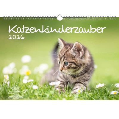 SEELENZAUBER GMBH Katzenkinderzauber DIN A3 Kalender für 2026 Katzenkinder Katzenbabys - Seelenzau