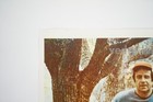 Foto 5 di 11