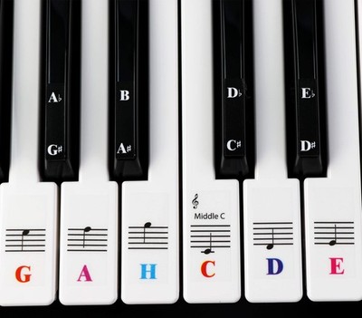 Klavieraufkleber Für Keyboards mit 61 Tasten  transparent und entfernbar