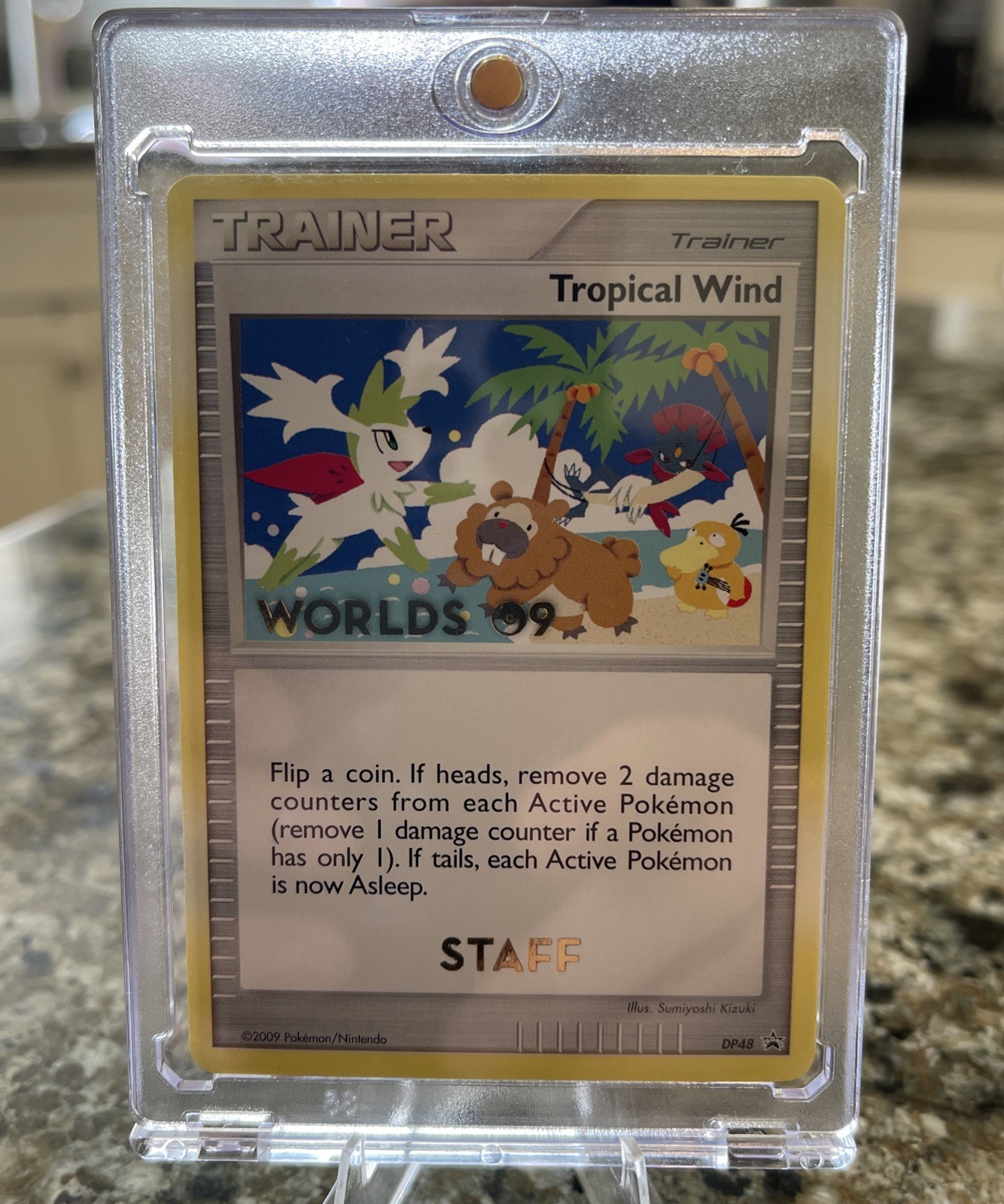Pokemon Tropical Wind DP48 STAFF Black Star Promo 2009 World Championships 
