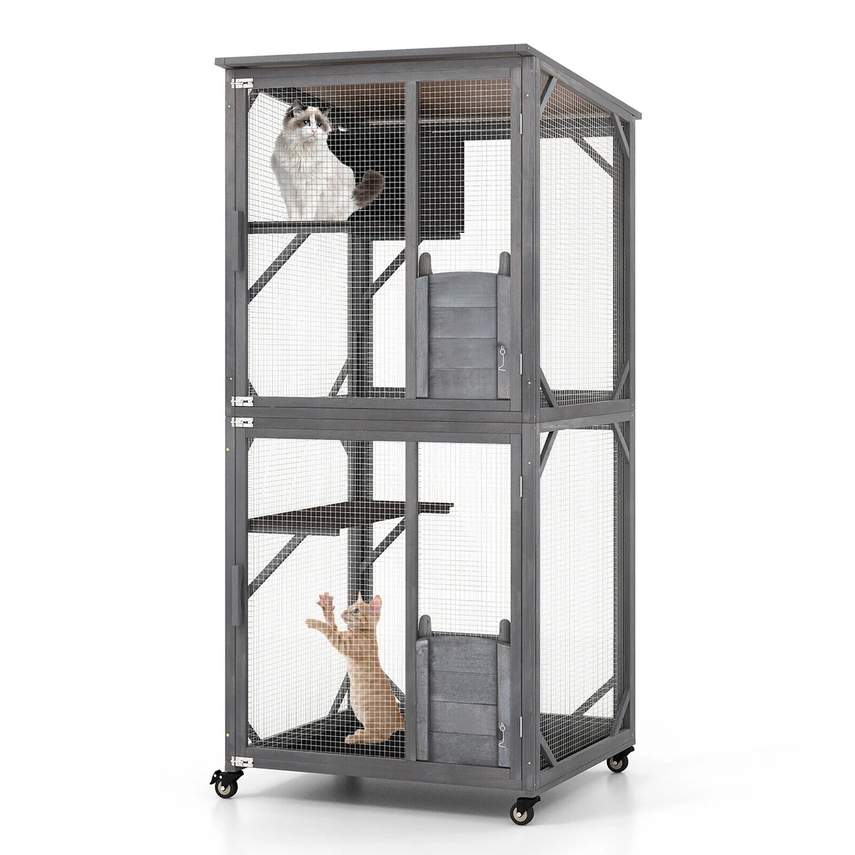 Kitten enclosure cheap indoor