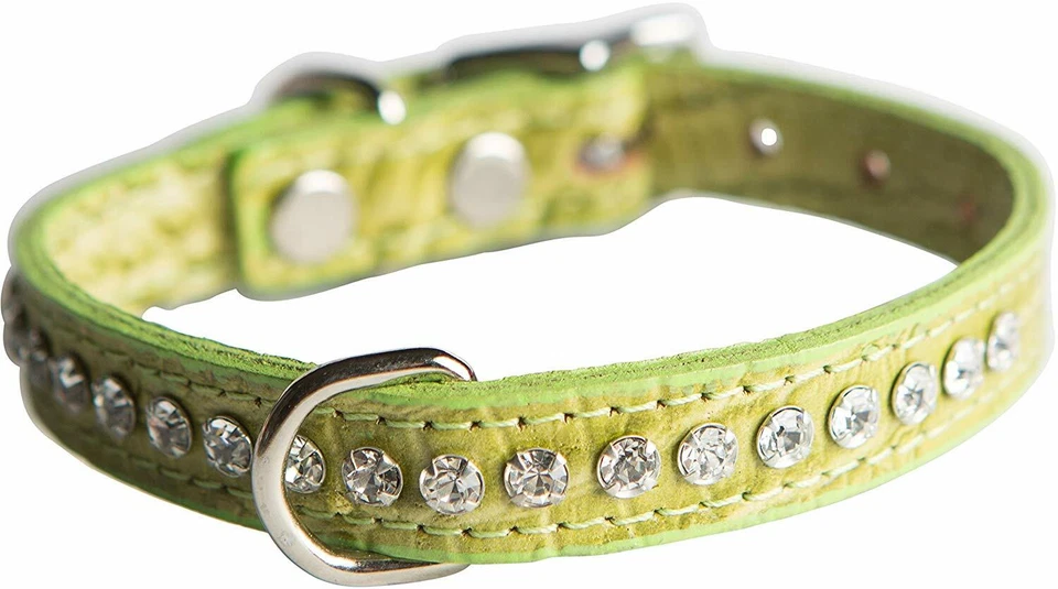 OMNIPET Signature Leather Crystal and Dog Collar, Faux Crocodile Print, 10", Green