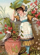 1882 James Pyles Pearline Soap Lovely Woman Flowers Urn Dove Victorian Card
