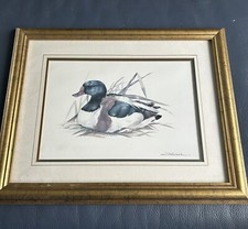 Vintage Joel Kirk Wildlife Duck Mallard Signed Print Painting in Frame