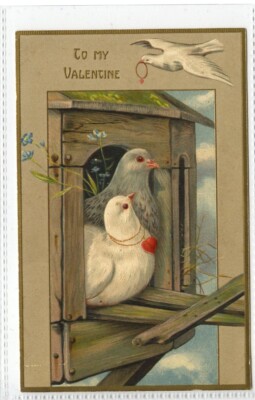 (Gd1039) Valentinskarte, rotes Herz, graue Taube, um 1910