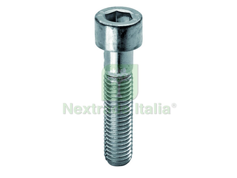 Viti DIN 912 M5x25 Acciaio Zincato - Confezione Viteria Industriale