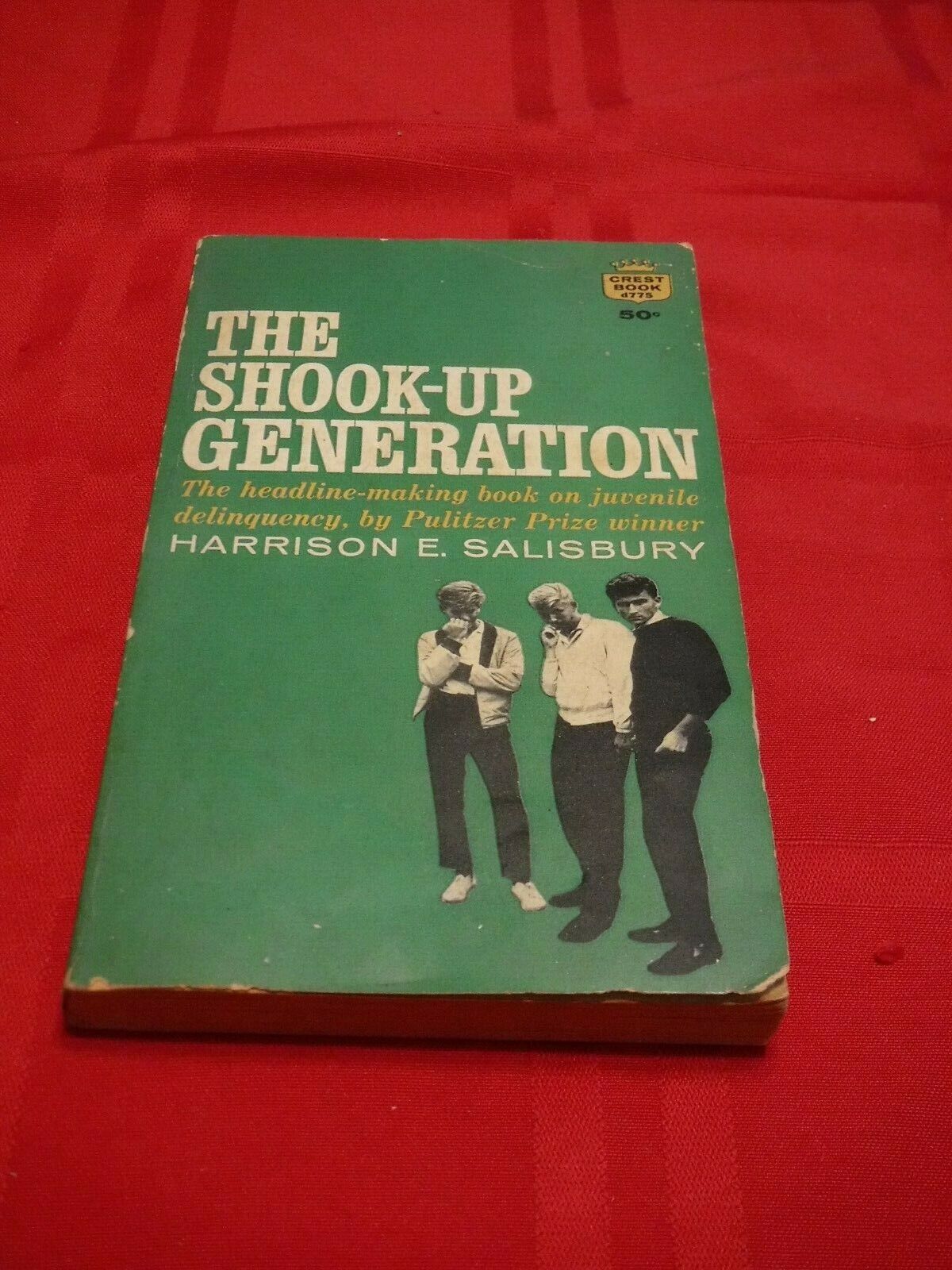 The Shook-Up Generation 1958 : Pleasures of Past Times