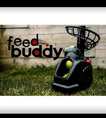 automatic cricket feeder