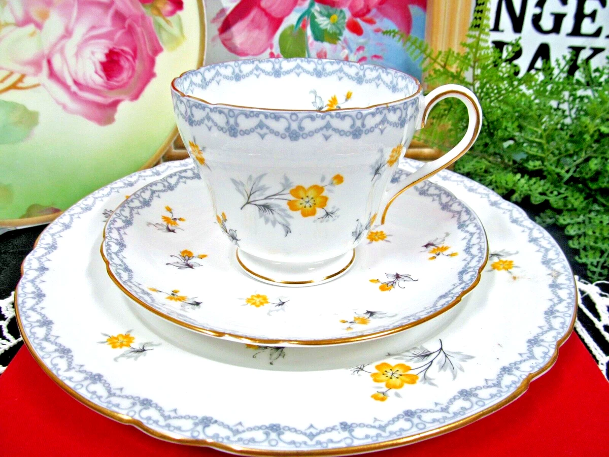 Shelley tea cup and saucer cheap