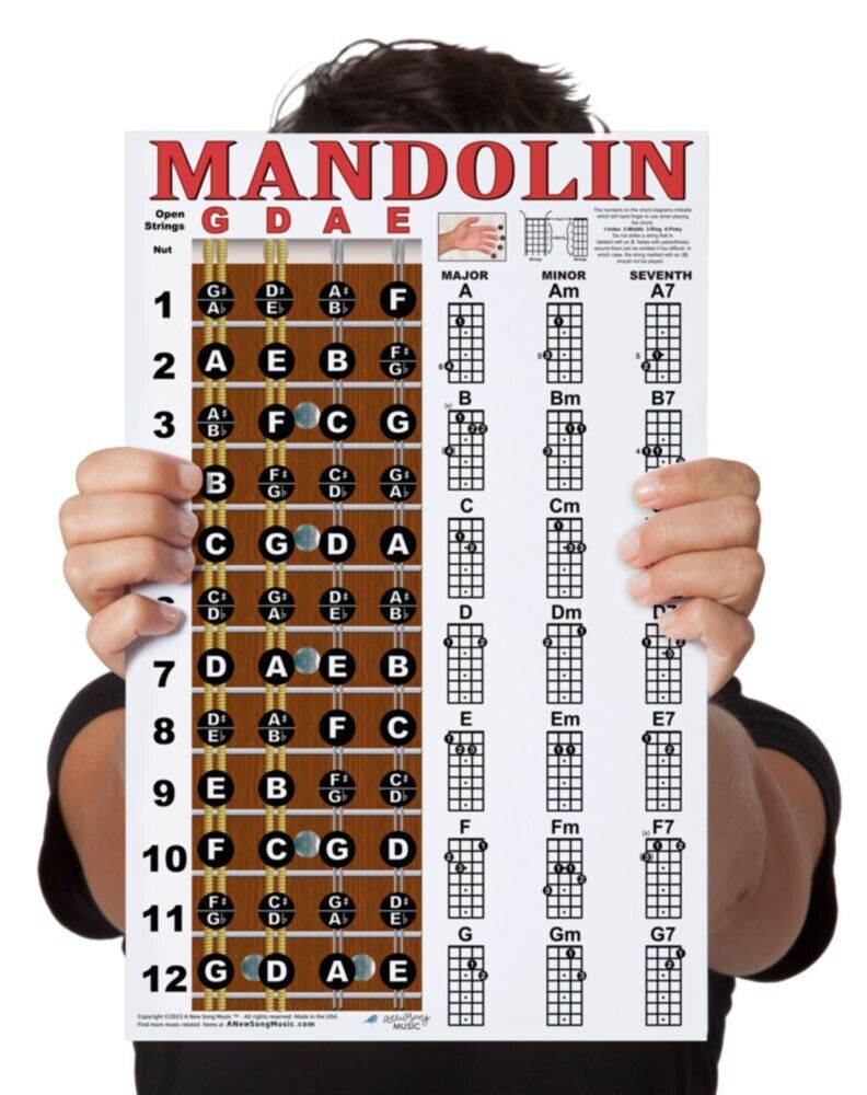 LAMINATED Mandolin Easy Chord & Fretboard Chart Poster Notes Beginner Chords